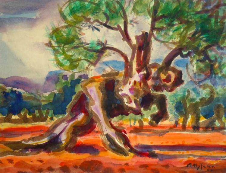 Alte Olivenhaine, Mallorca