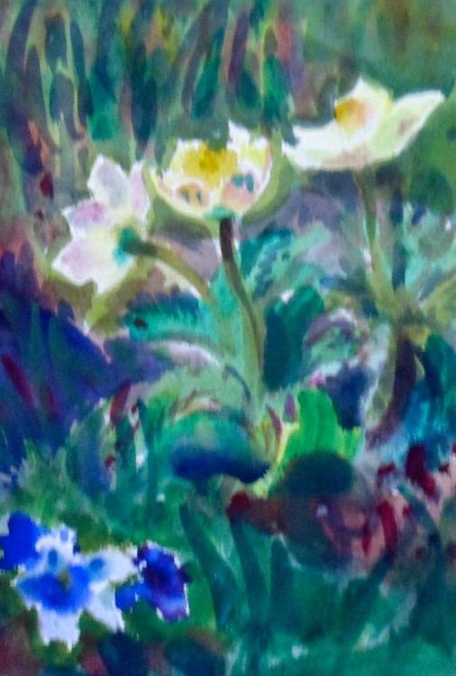 Anemonen