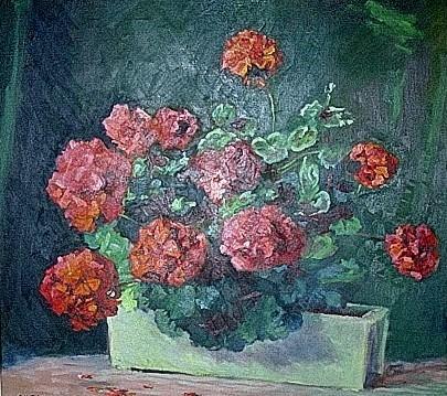 Geranium