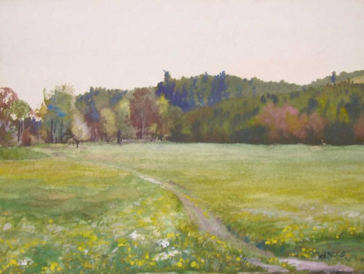 In den Matten bei Langenthal