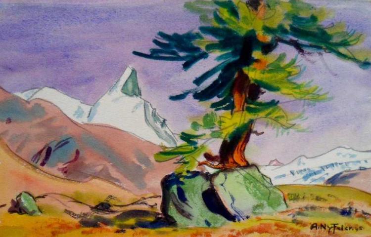 Adlerhorn, Riffelwald, Findelengletscher