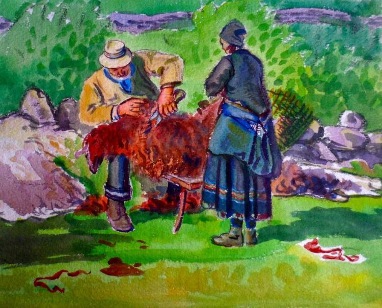 Schafschur bei Kippel Benjamin und Josepha Murmann
