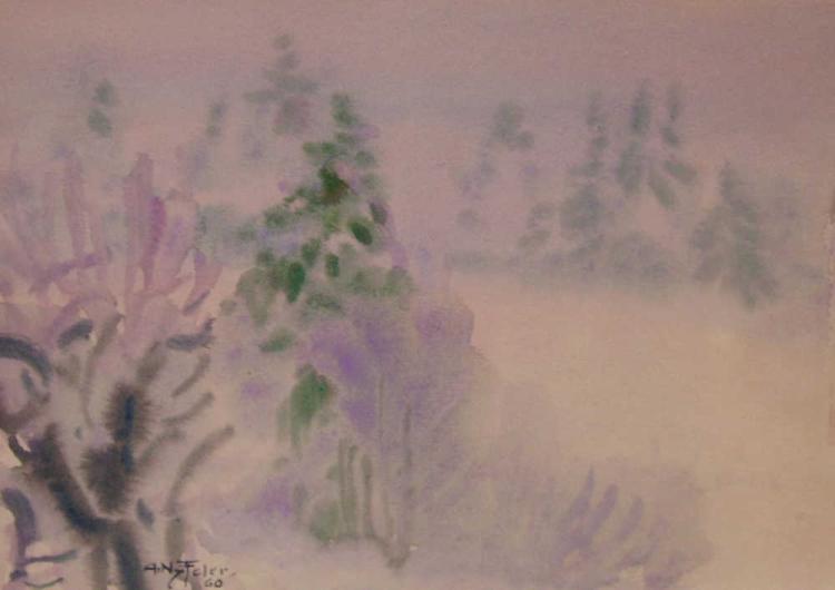Weissenstein, Gebüsch im Nebel